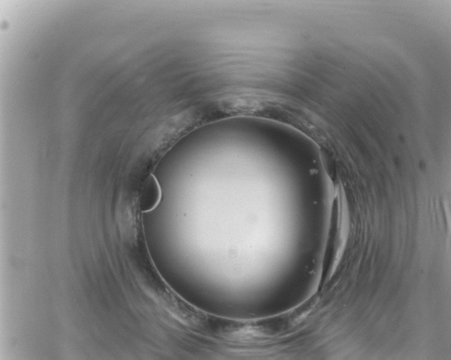 X0000066510460200603241311