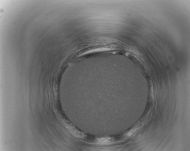 X0000066510461200603241311