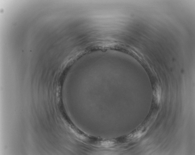 X0000066510462200603241311