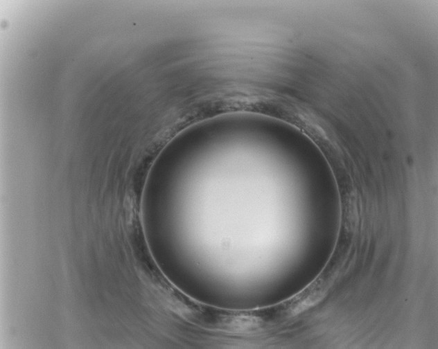 X0000066510463200603241311