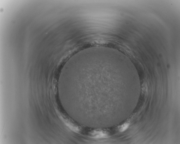 X0000066510464200603241311