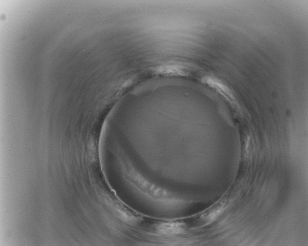 X0000066510465200603241311