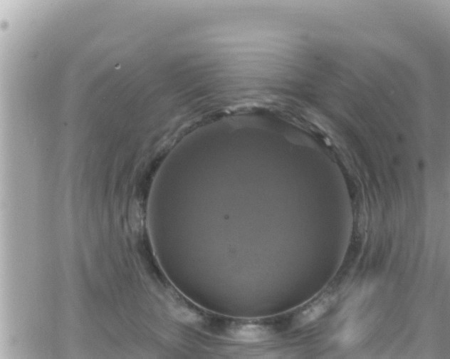 X0000066510467200603241311