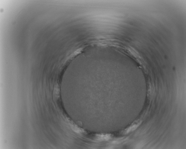 X0000066510469200603241311