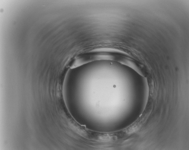 X0000066510470200603241311