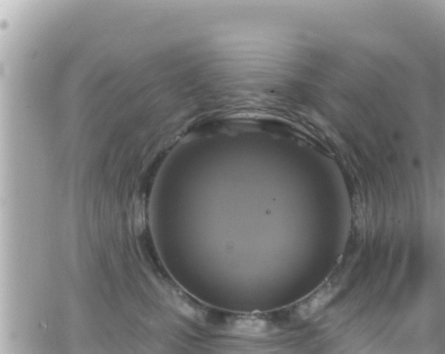 X0000066510471200603241311