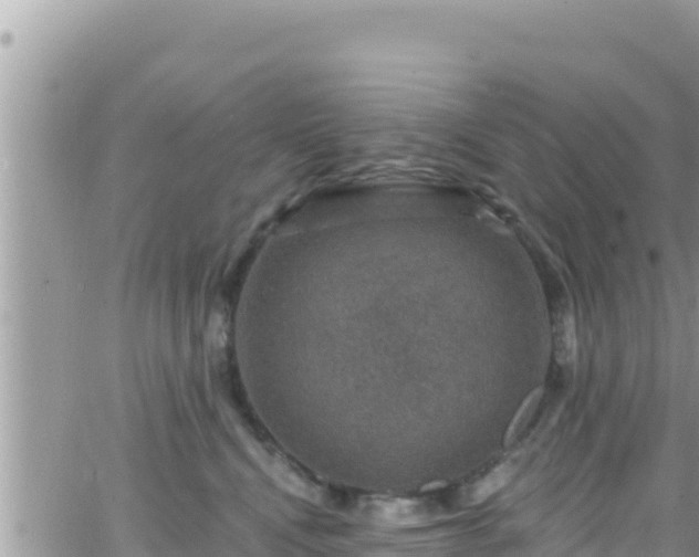 X0000066510472200603241311