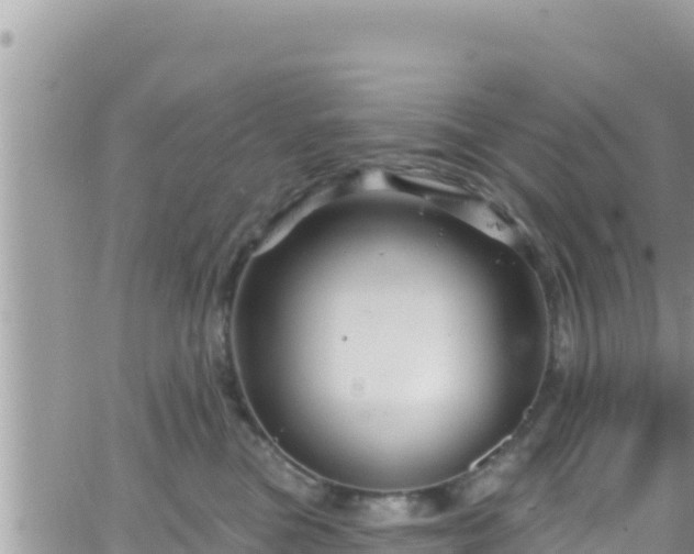 X0000066510473200603241311