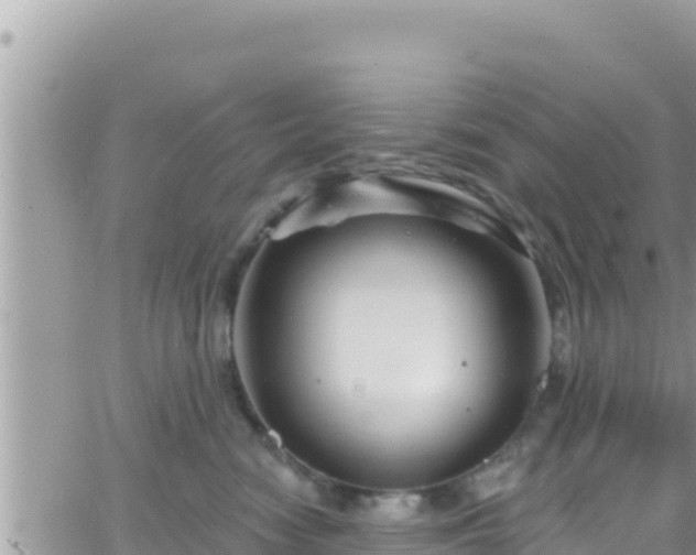 X0000066510474200603241311