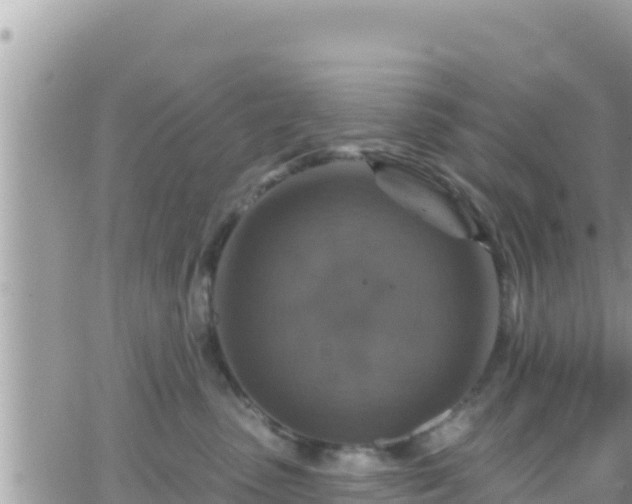 X0000066510475200603241311