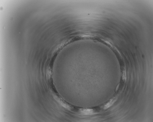 X0000066510476200603241311