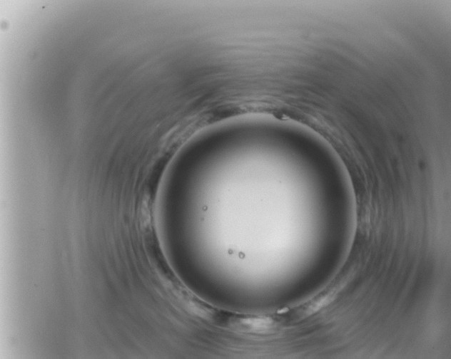 X0000066510478200603241311