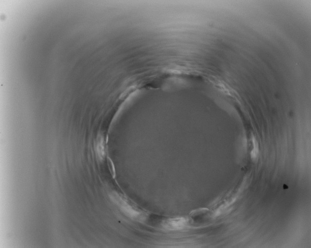 X0000066510479200603241311