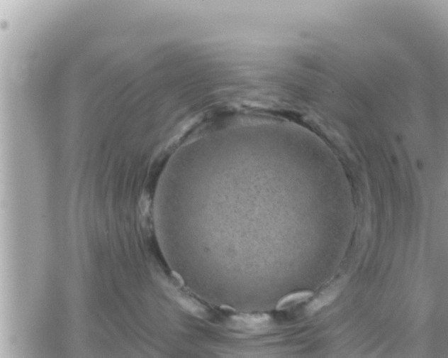 X0000066510480200603241311