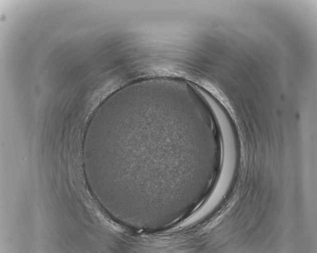 X0000066510481200603241310