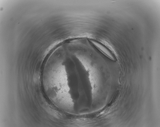 X0000066510483200603241310