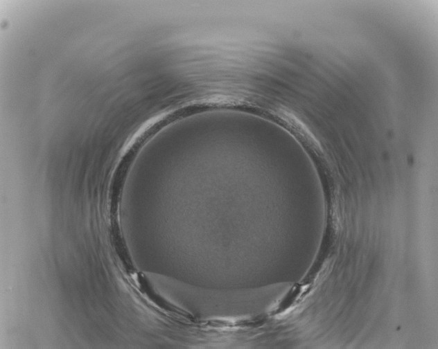 X0000066510484200603241310