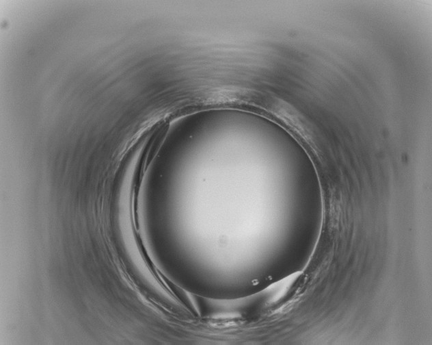 X0000066510485200603241310