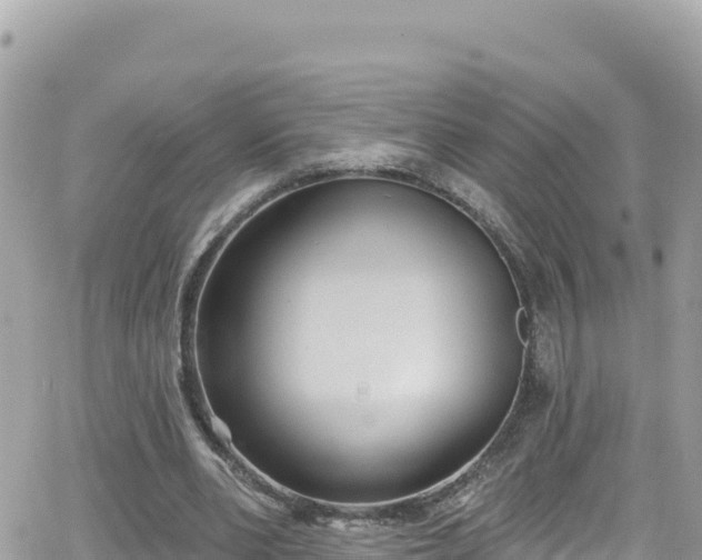 X0000066510486200603241310