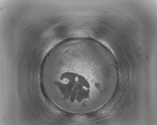 X0000066510487200603241310