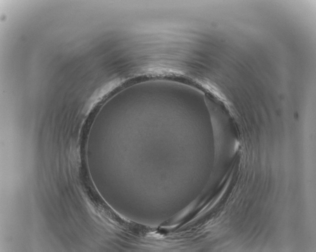 X0000066510488200603241310