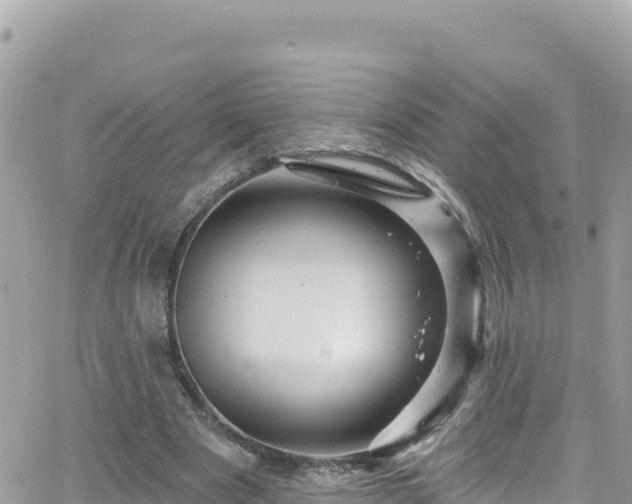 X0000066510489200603241310