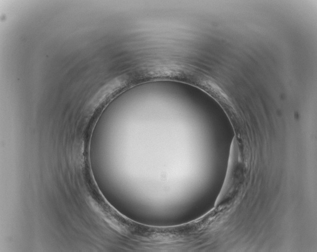 X0000066510490200603241310