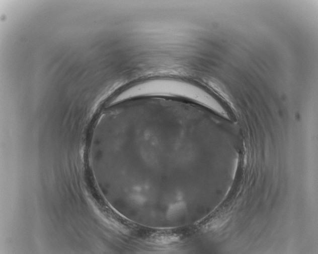 X0000066510491200603241310