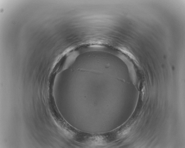 X0000066510492200603241310