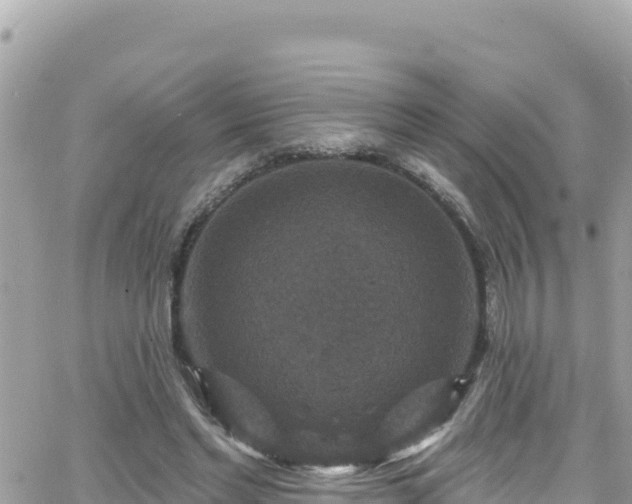 X0000066510493200603241310