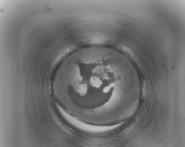 X0000066510495200603241310