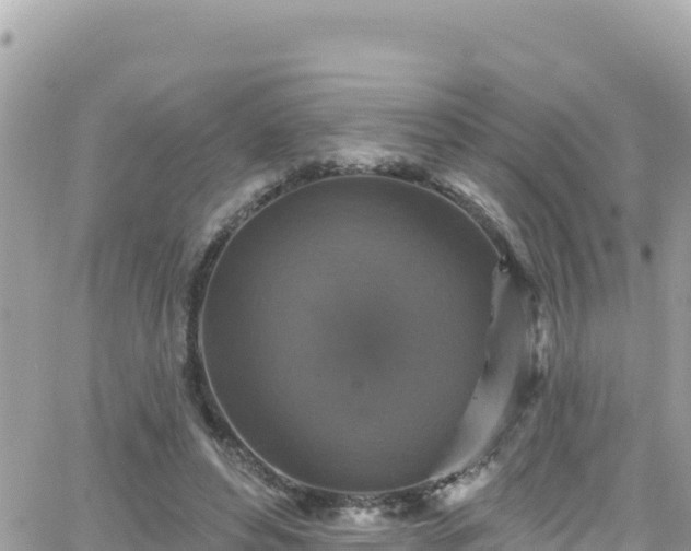 X0000066510496200603241310