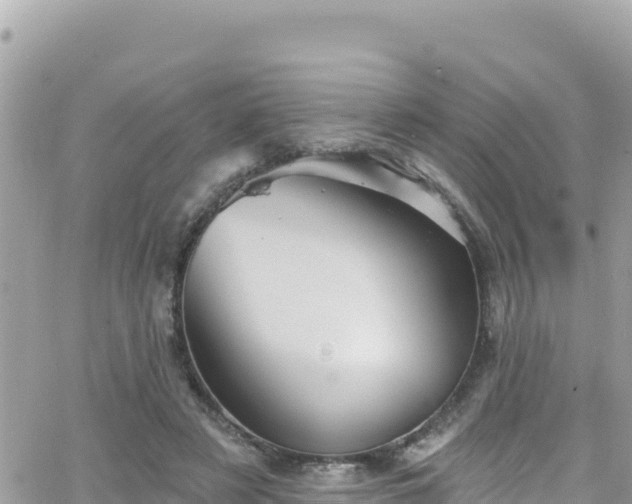 X0000066510497200603241310