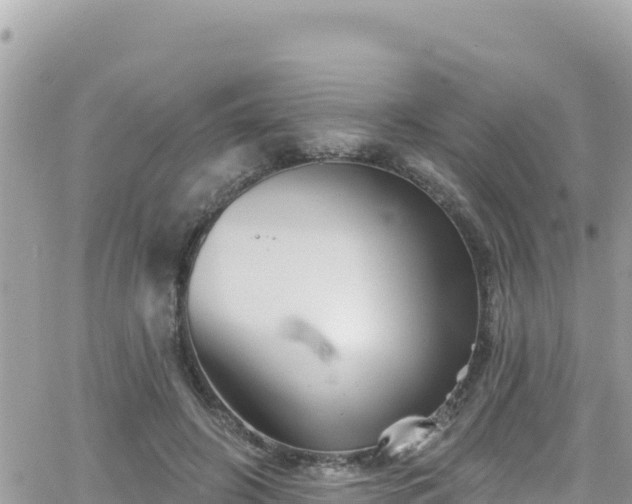 X0000066510498200603241310