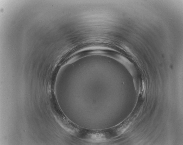 X0000066510500200603241310