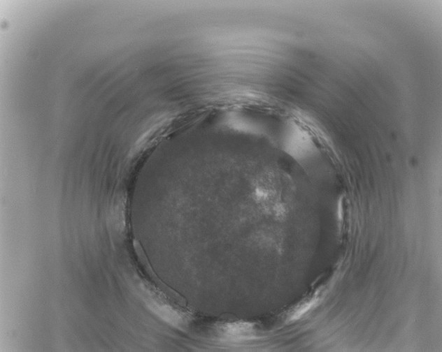 X0000066510501200603241310