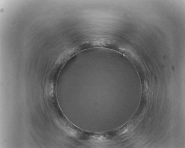 X0000066510502200603241310