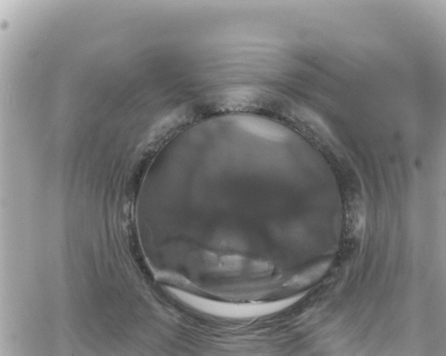 X0000066510503200603241310