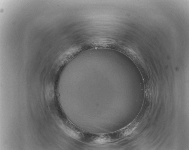 X0000066510504200603241310