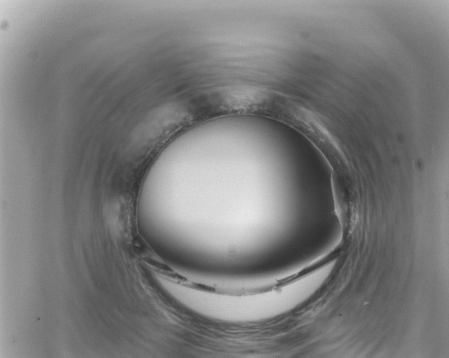 X0000066510505200603241310