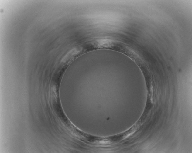 X0000066510506200603241310