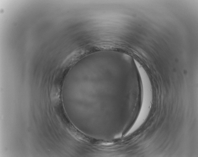 X0000066510507200603241310