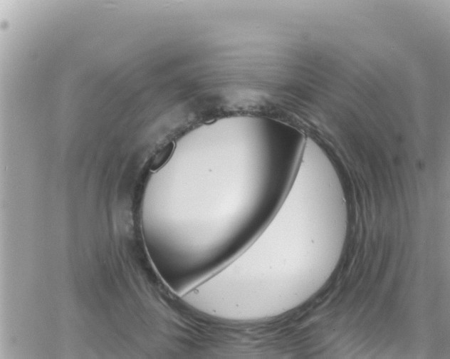 X0000066510508200603241310