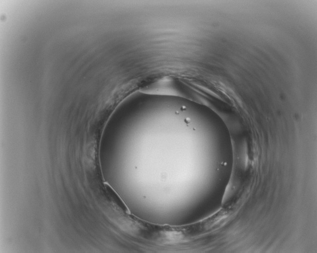 X0000066510509200603241310