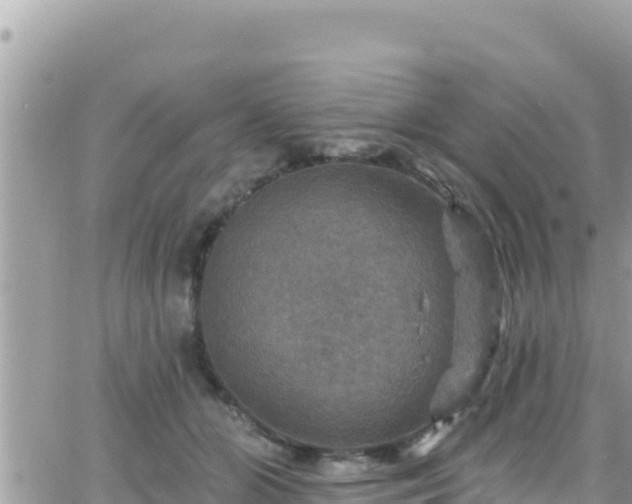 X0000066510510200603241310