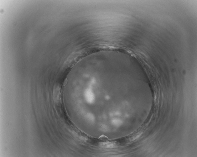 X0000066510511200603241310