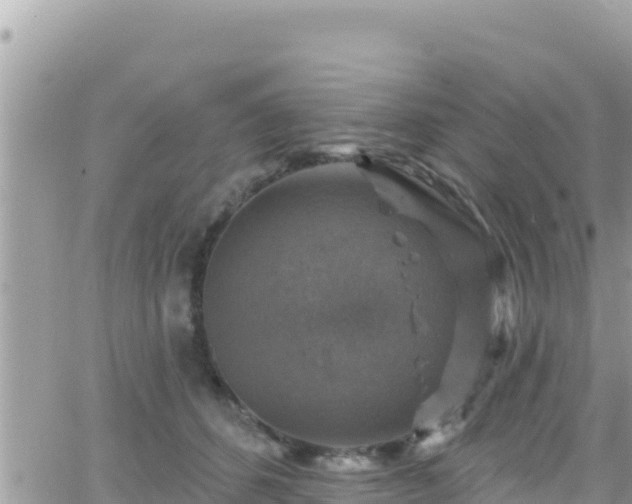 X0000066510512200603241310