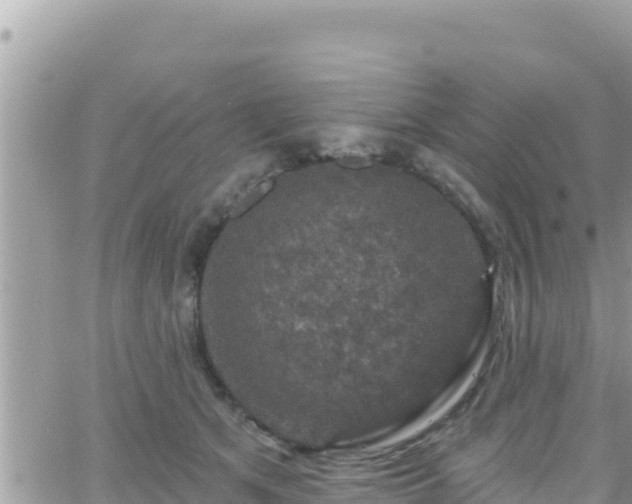 X0000066510513200603241310