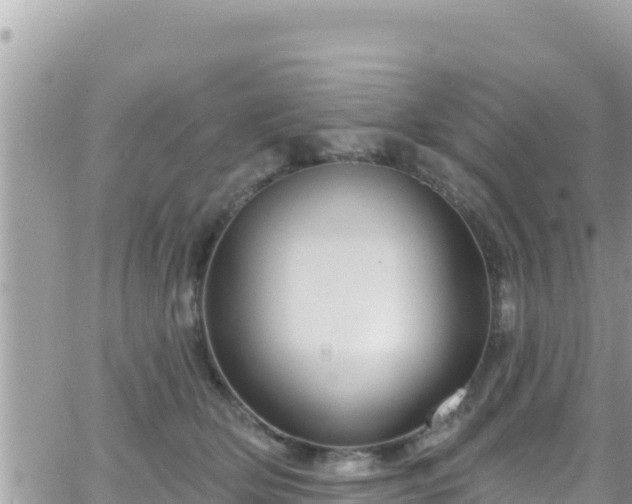 X0000066510514200603241310