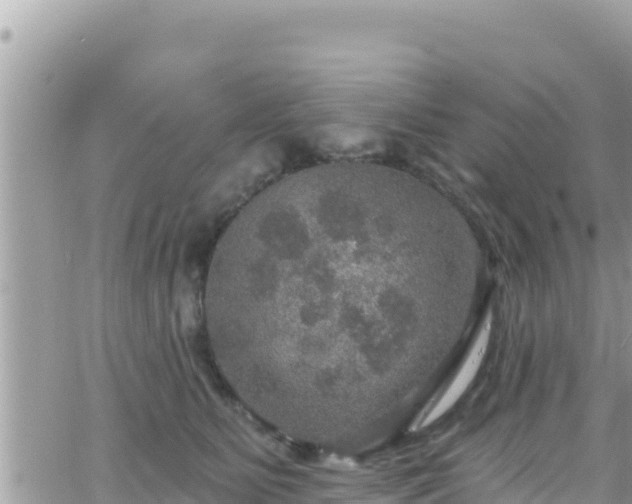 X0000066510515200603241310